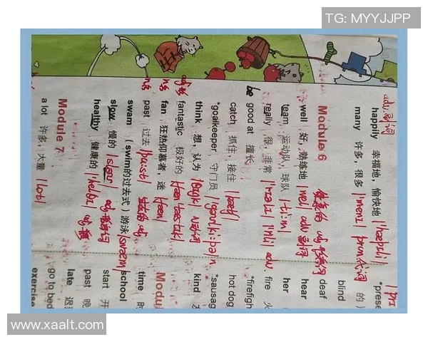 足球明星别名的英文翻译及其背后的故事解析