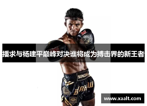 播求与杨建平巅峰对决谁将成为搏击界的新王者